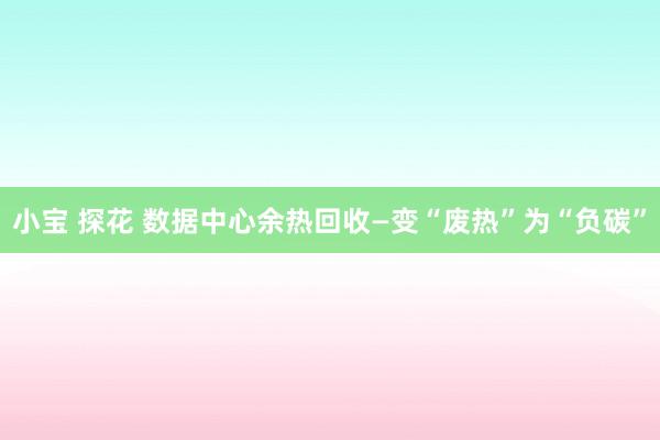 小宝 探花 数据中心余热回收—变“废热”为“负碳”
