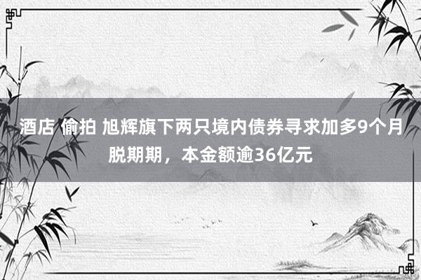 酒店 偷拍 旭辉旗下两只境内债券寻求加多9个月脱期期，本金额逾36亿元