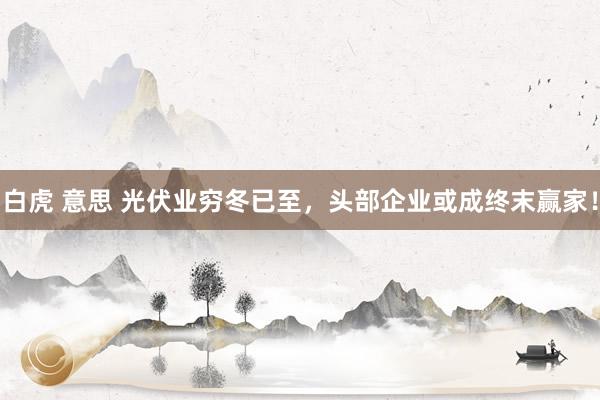白虎 意思 光伏业穷冬已至，头部企业或成终末赢家！