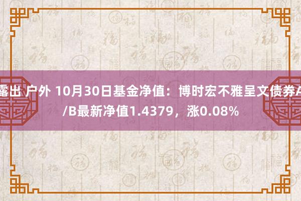 露出 户外 10月30日基金净值：博时宏不雅呈文债券A/B最新净值1.4379，涨0.08%