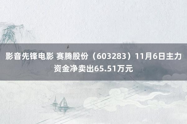 影音先锋电影 赛腾股份（603283）11月6日主力资金净卖出65.51万元