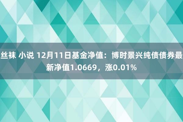 丝袜 小说 12月11日基金净值：博时景兴纯债债券最新净值1.0669，涨0.01%