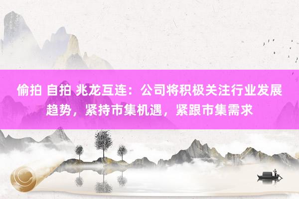 偷拍 自拍 兆龙互连：公司将积极关注行业发展趋势，紧持市集机遇，紧跟市集需求